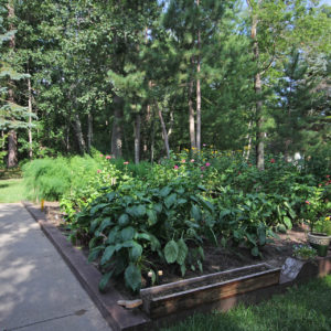 Community Garden