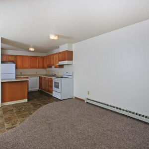 Kitchen, Dining & Living Room
