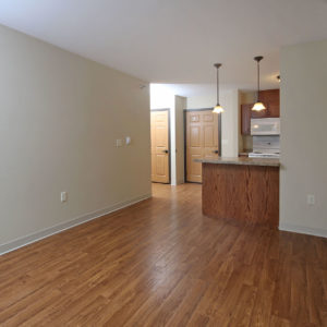 Kitchen, Living & Dining Area