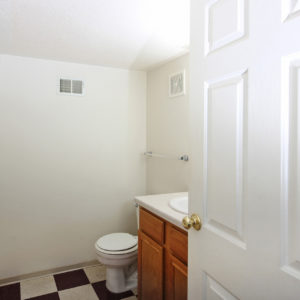 Lower Level Bathroom