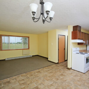 Kitchen & Living Area