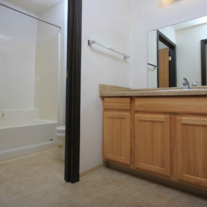 Upper Level Bathroom