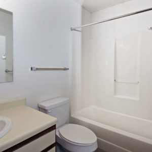 Accessible Bathroom