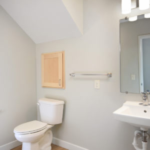 Lower Level Bathroom