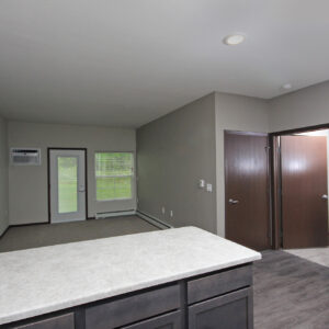 1B/1B Kitchen & Living Area