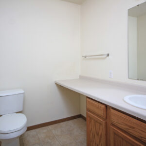 Lower Level Bathroom