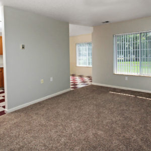 Living Room & Kitchen