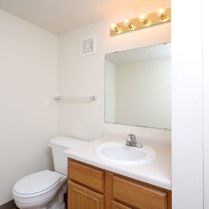 Lower Level Bathroom