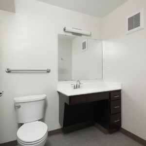 Lower Level Bathroom