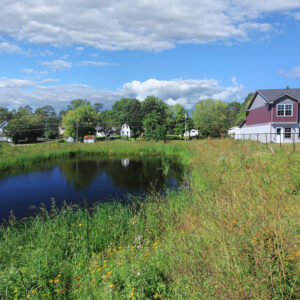 Nearby Enclosed Pond