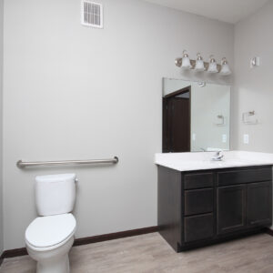 Accessible Bathroom