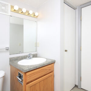 Lower Level Bathroom