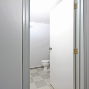 Lower Level Bathroom