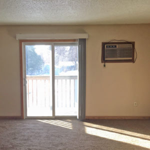 Living Room & Balcony Access