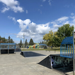 Neighborhood Skate Park