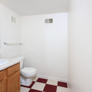 Lower Level Bathroom