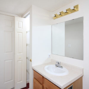 Lower Level Bathroom