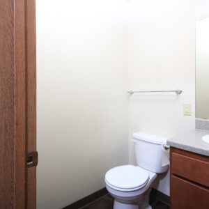 Lower Level Bathroom