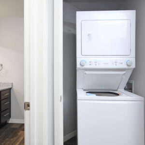 Washer-Dryer in Unit