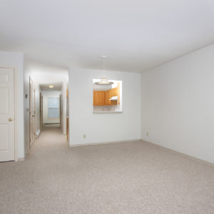 Entry, Kitchen & Living Area