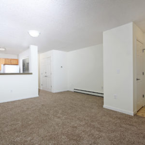 Entry, Kitchen & Living Area