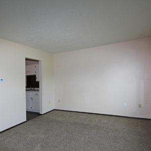 Kitchen & Living Room