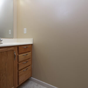 Lower Level Bath