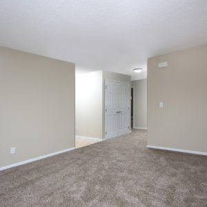 Entry & Living Area