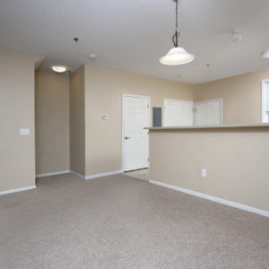 Entry, Kitchen & Living Area
