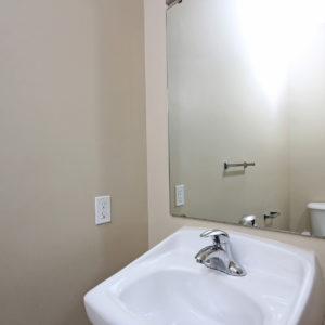 Lower Level Bathroom