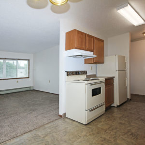 Kitchen & Living Room