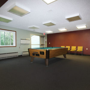 Community Room Pool Table