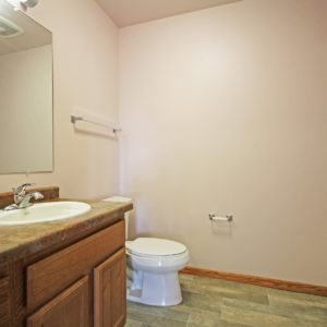 Lower Level Bathroom