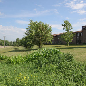 Community Garden