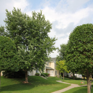 Union Square Townhomes