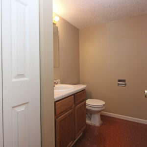 Lower Level Bathroom