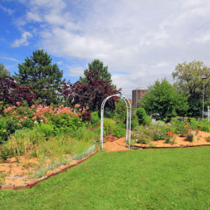 Beth Metsa Memorial Garden