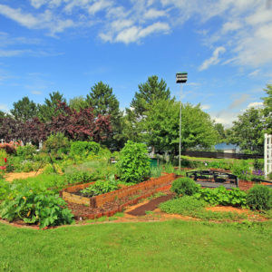Beth Metsa Memorial Garden