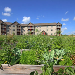 Community Garden