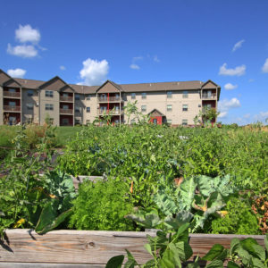 Community Garden