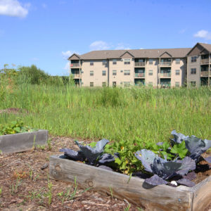 Community Garden