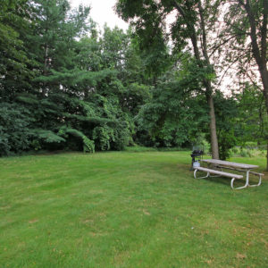 Grilling & Picnic Area