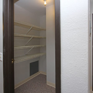 Large Closet Storage