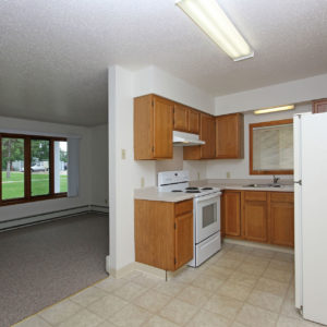 Living Room & Kitchen