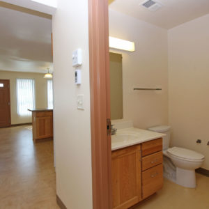 Lower Level Bathroom