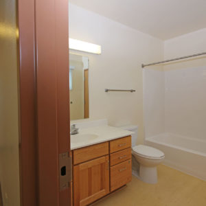 Upper Level Bathroom
