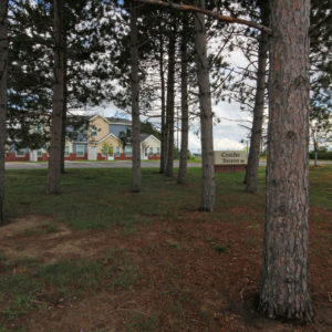 Conifer Estates Grounds