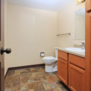 Lower Level Bathroom