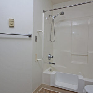 Accessible Bathtub/Shower